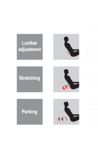 BF15 (Dynamic Lumber System)